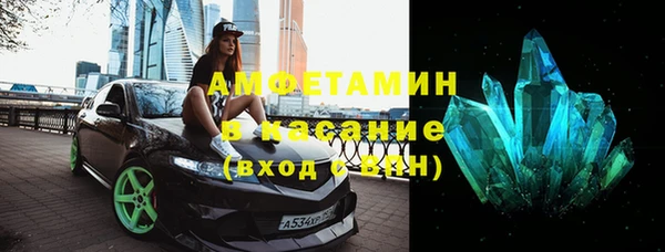 сатива Зеленокумск