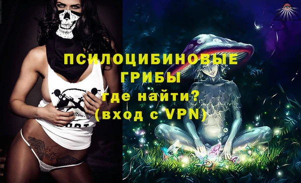 сатива Зеленокумск