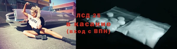 сатива Зеленокумск