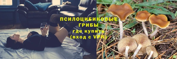 марки lsd Тобольск
