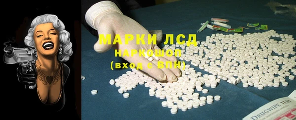 сатива Зеленокумск