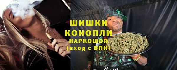 сатива Зеленокумск