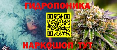 МДМА Заводоуковск