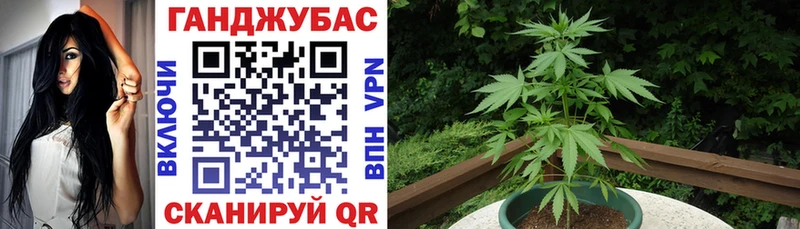 где купить наркотик  Ирбит  Шишки марихуана LSD WEED 
